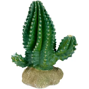 Komodo Cactus Plant Columnar 5.9 in