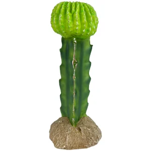 Komodo Cactus Plant Moon 7.5 in