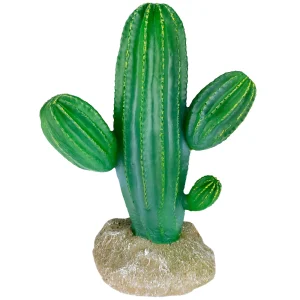 Komodo Cactus Plant Saguaro 9.5 in