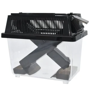 Komodo Cricket Keeper Box 10.6 in, Large