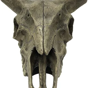 Komodo Deer Skull Reptile Hideout Gray