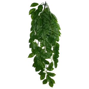 Komodo Green Leaf Hanging Plant Large, 26 in