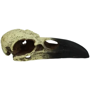 Komodo Raven Skull Hideout Medium, 6 in