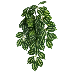 Komodo Two-Toned Leaf Hanging Plant Small, 16 in