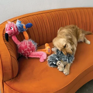 Kong Comfort Jumbo Birds X