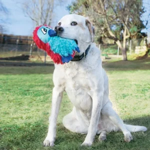 KONG DoDo Quirky Medium Dog Toy
