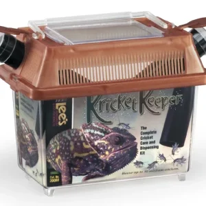 Kricket Keeper