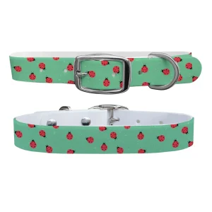 Ladybugs Dog Collar