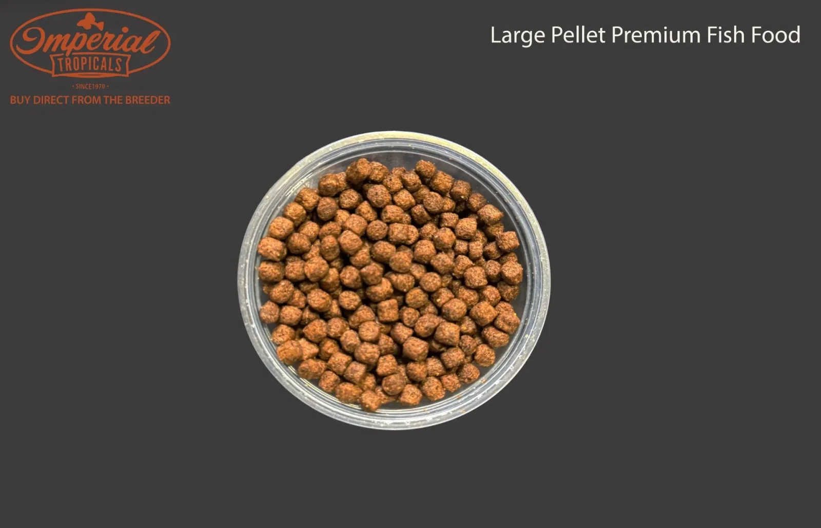 Large Pellet Premium Fish Food