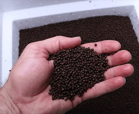 Large Pellet Premium Fish Food - Image 2