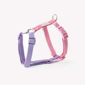 Lavender and Pink