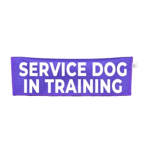Leash Sign Service Dog In Training SDIT