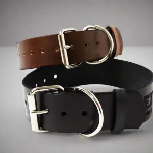 Leather Dog Collar