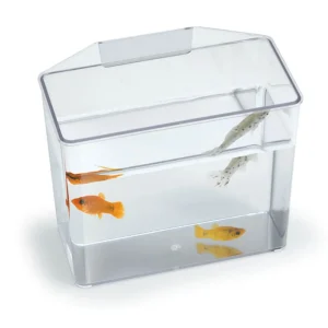 Lee's Aquarium & Pet Products Break Resistant Specimen Container, Clear, Large