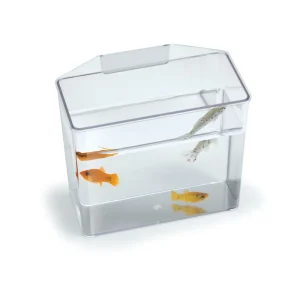 Lee's Aquarium & Pet Products Break Resistant Specimen Container, Clear, Small