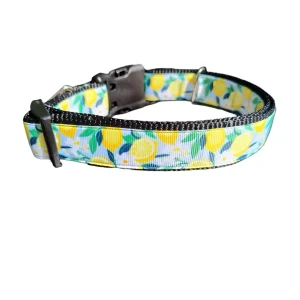 Lemon Flowers Nylon Dog Collar