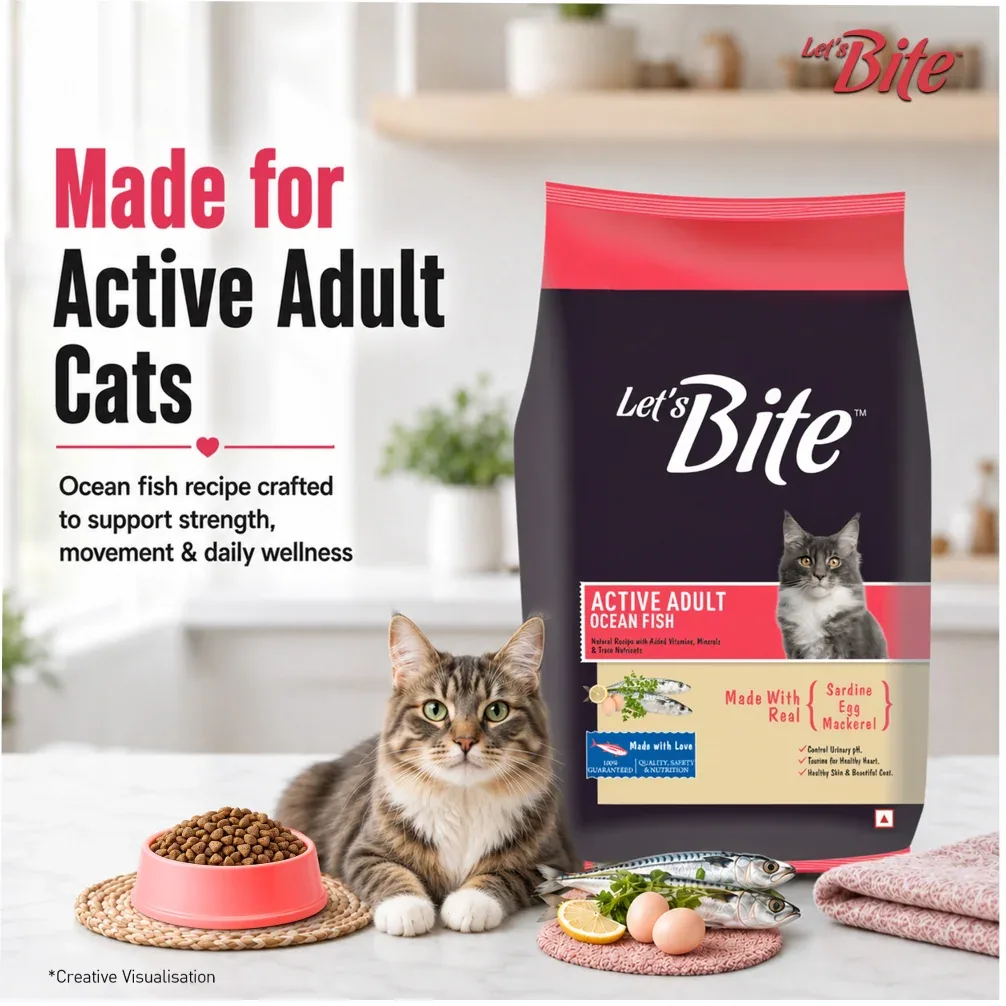 Let's Bite Active Adult Ocean Fish Dry Cat Food - Image 2