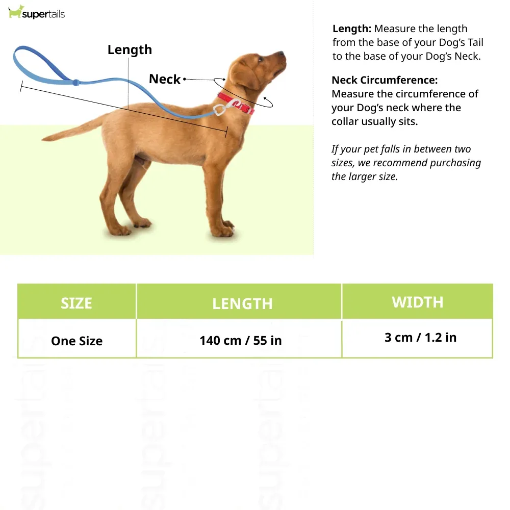 Let's Wag Single Handle Fabric Leash for Dogs (Cobalt Blue) - Image 2