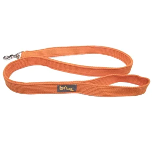Let's Wag Single Handle Fabric Leash for Dogs (Orange)
