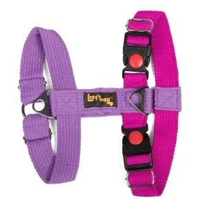 Let's Wag Training and Safety Dual Clip Designed H Harness for Dogs (Pink/Purple)