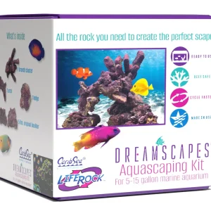 LifeRock Dreamscapes Assortment