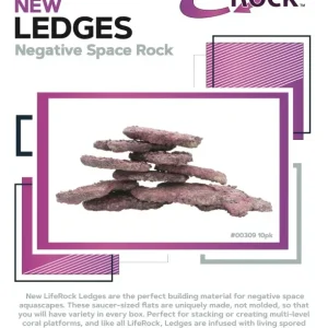 LifeRock Ledges