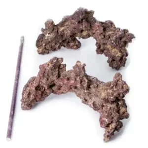 Liferock Reef Tree Extension Kit
