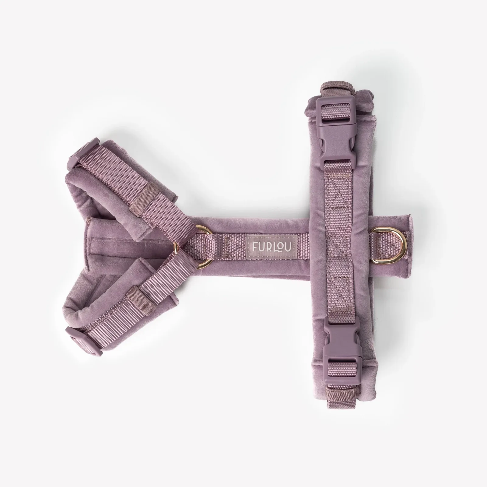 Lilac - Image 2