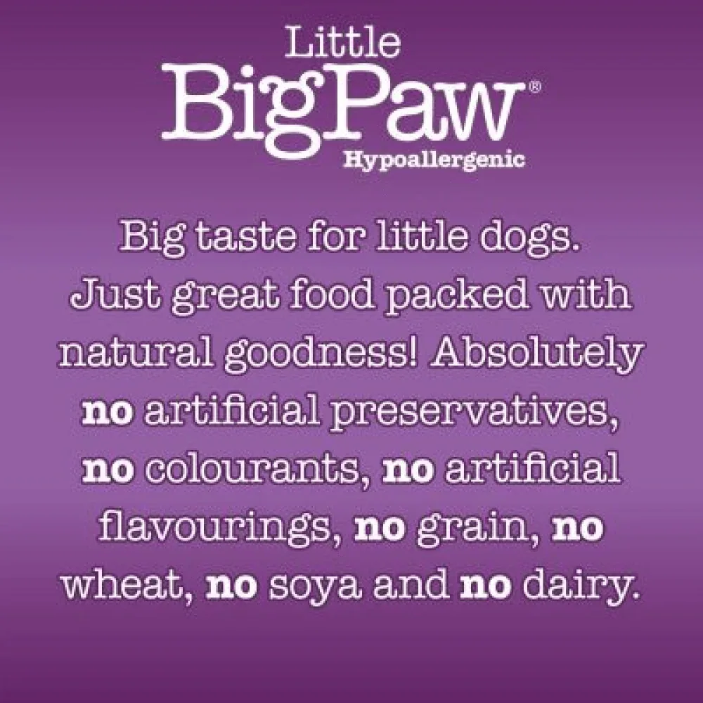 Little Big Paw Atlantic Salmon & Vegetables Terrine Dog Wet Food - Image 2