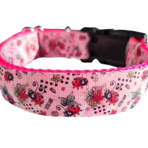 Little Lady Ladybug Nylon Dog Collar