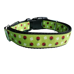 Little Ladybug Nylon Dog Collar