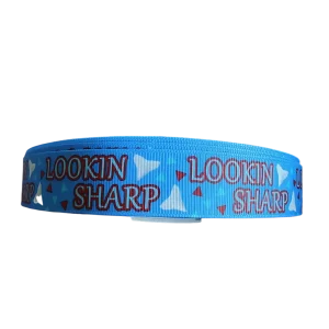 Lookin Sharp Nylon Dog Collar