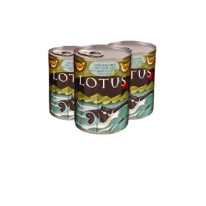 Lotus Stew Grain-Free Chicken Asparagus Stew Canned Dog Food - 12.5 Oz - Case of 12