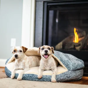 Luxury Cozy Cave® Show Dog Collection