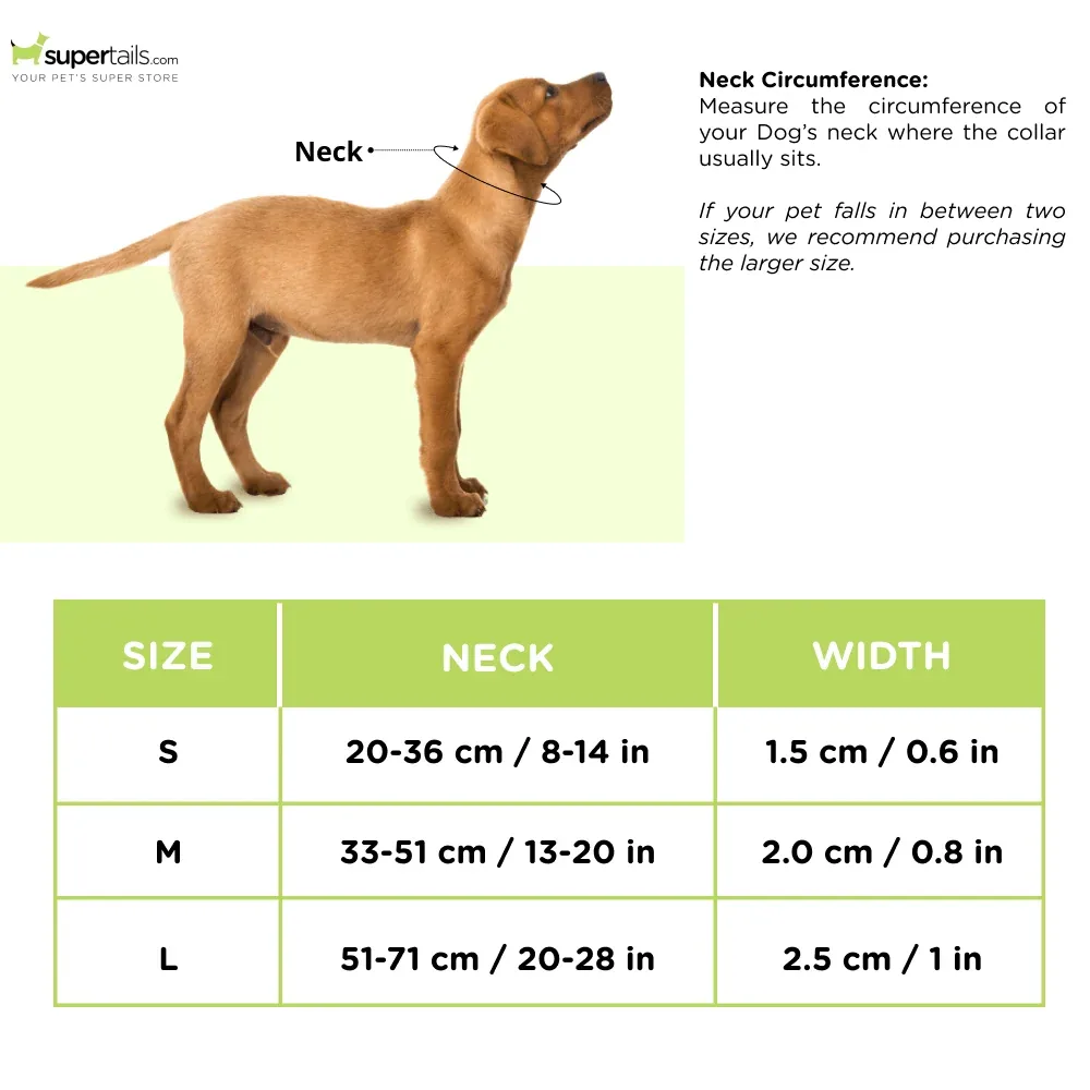 M Pets Highway Collar for Dogs (Green) - Image 2