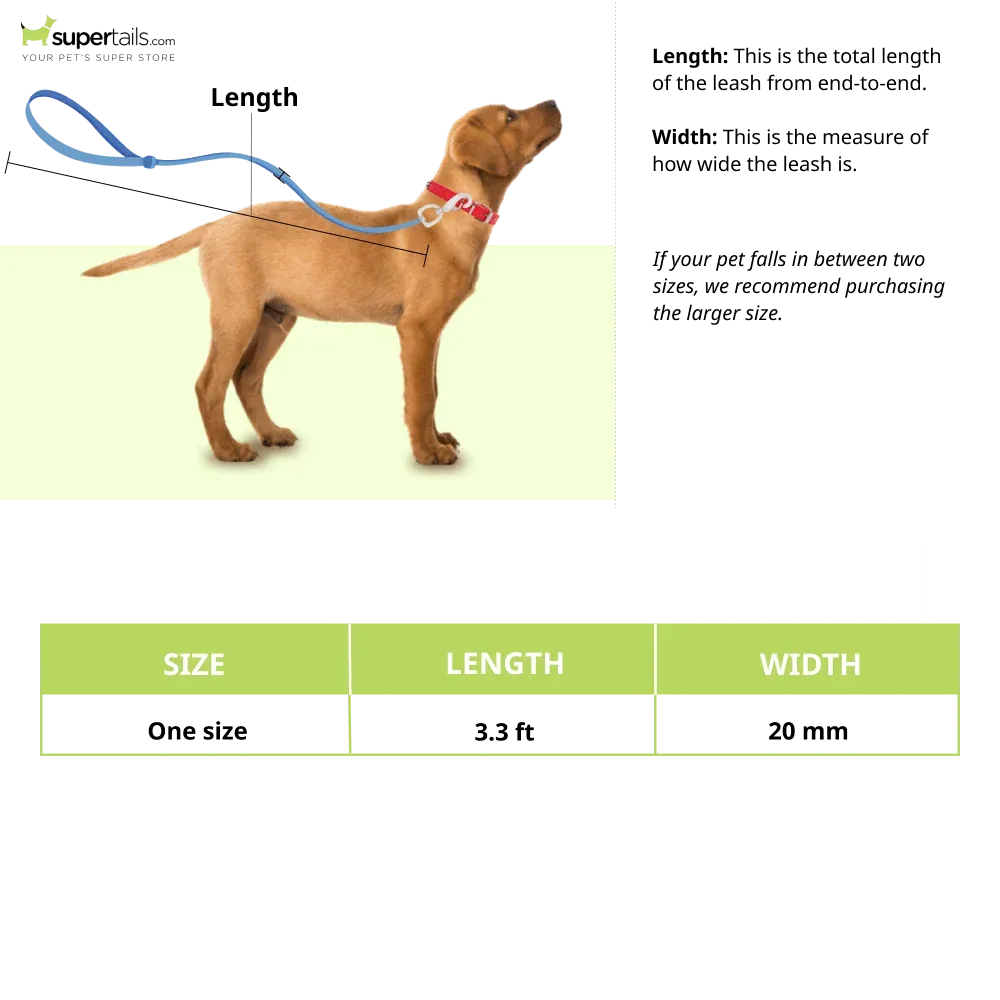 M Pets Sportline Leash for Dogs (Blue) - Image 2