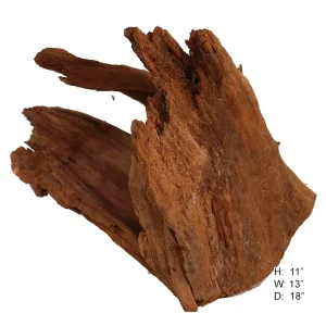 Malaysian Driftwood, Super WYSIWYG 11" x 13"