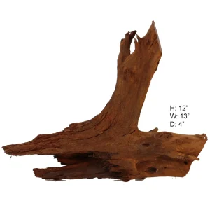 Malaysian Driftwood, Super WYSIWYG 12" x 13"