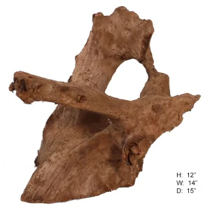 Malaysian Driftwood, Super WYSIWYG 12" x 14"
