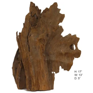 Malaysian Driftwood, Super WYSIWYG 17" x 13"