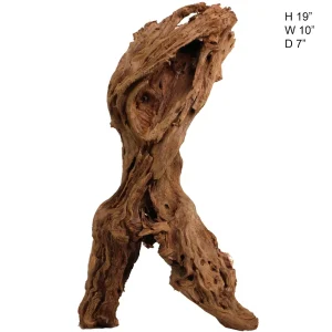 Malaysian Driftwood, Super WYSIWYG 19" x 10"