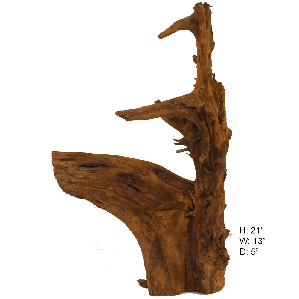 Malaysian Driftwood, Super WYSIWYG 21" x 13"