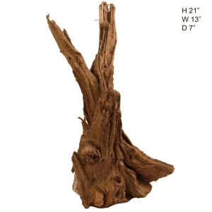 Malaysian Driftwood, Super WYSIWYG 21" x 14"