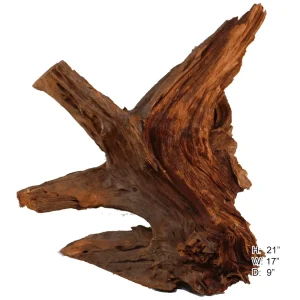 Malaysian Driftwood, Super WYSIWYG 21" x 17"