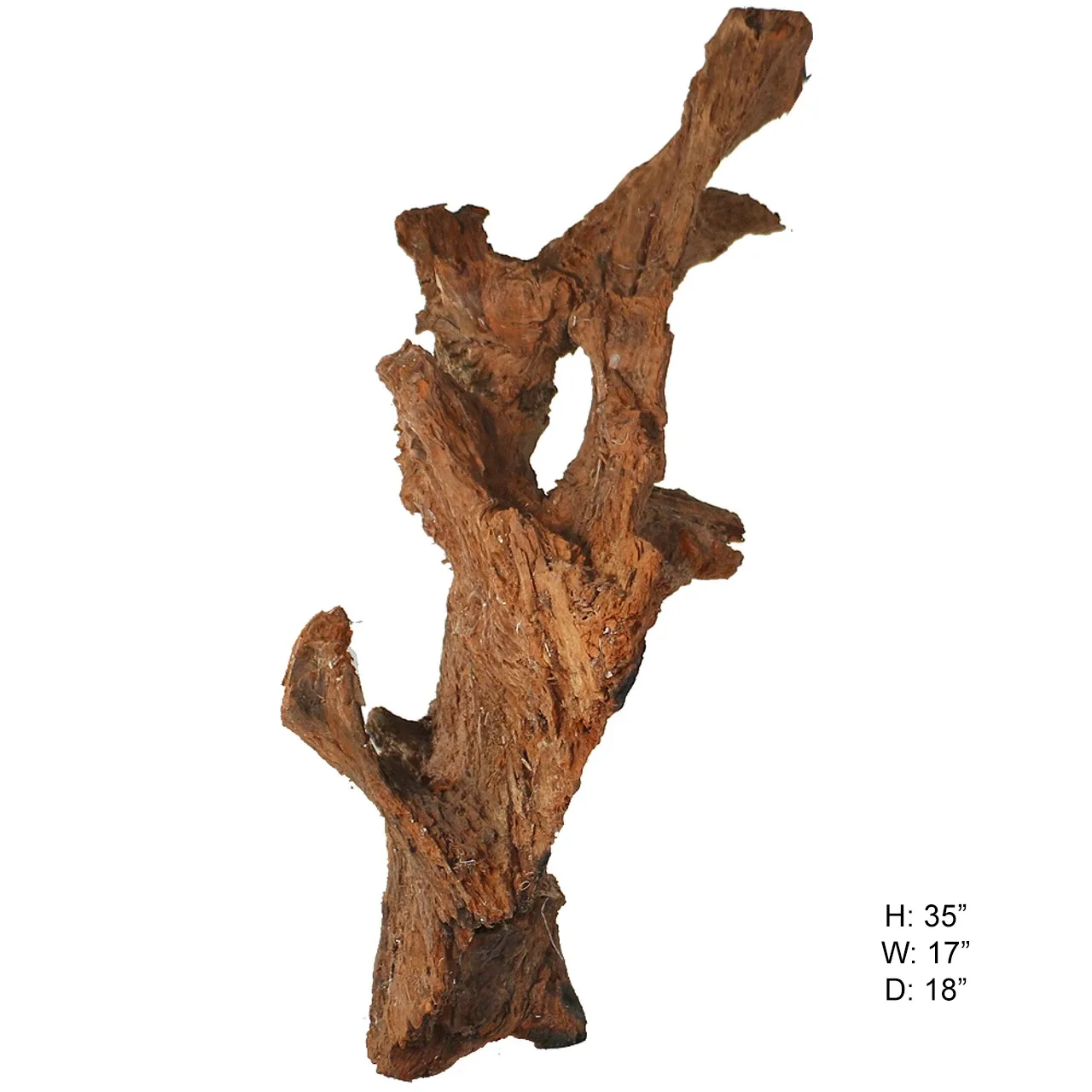 Malaysian Driftwood, Super WYSIWYG 35" x 17"