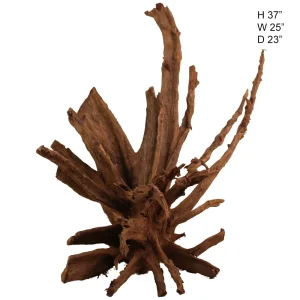 Malaysian Driftwood, Super WYSIWYG 37" x 25"