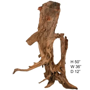 Malaysian Driftwood, Super WYSIWYG 50" x 36"