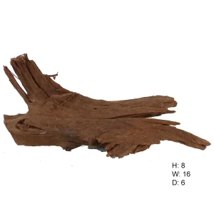 Malaysian Driftwood, Super WYSIWYG 8" x 16"