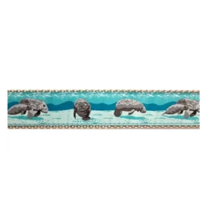 Manatee