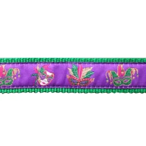 Mardi Gras Mask